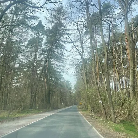 Zacisze Caloroczny Swietne