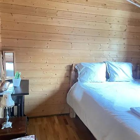 Zacisze Caloroczny Ferienhaus Swietne